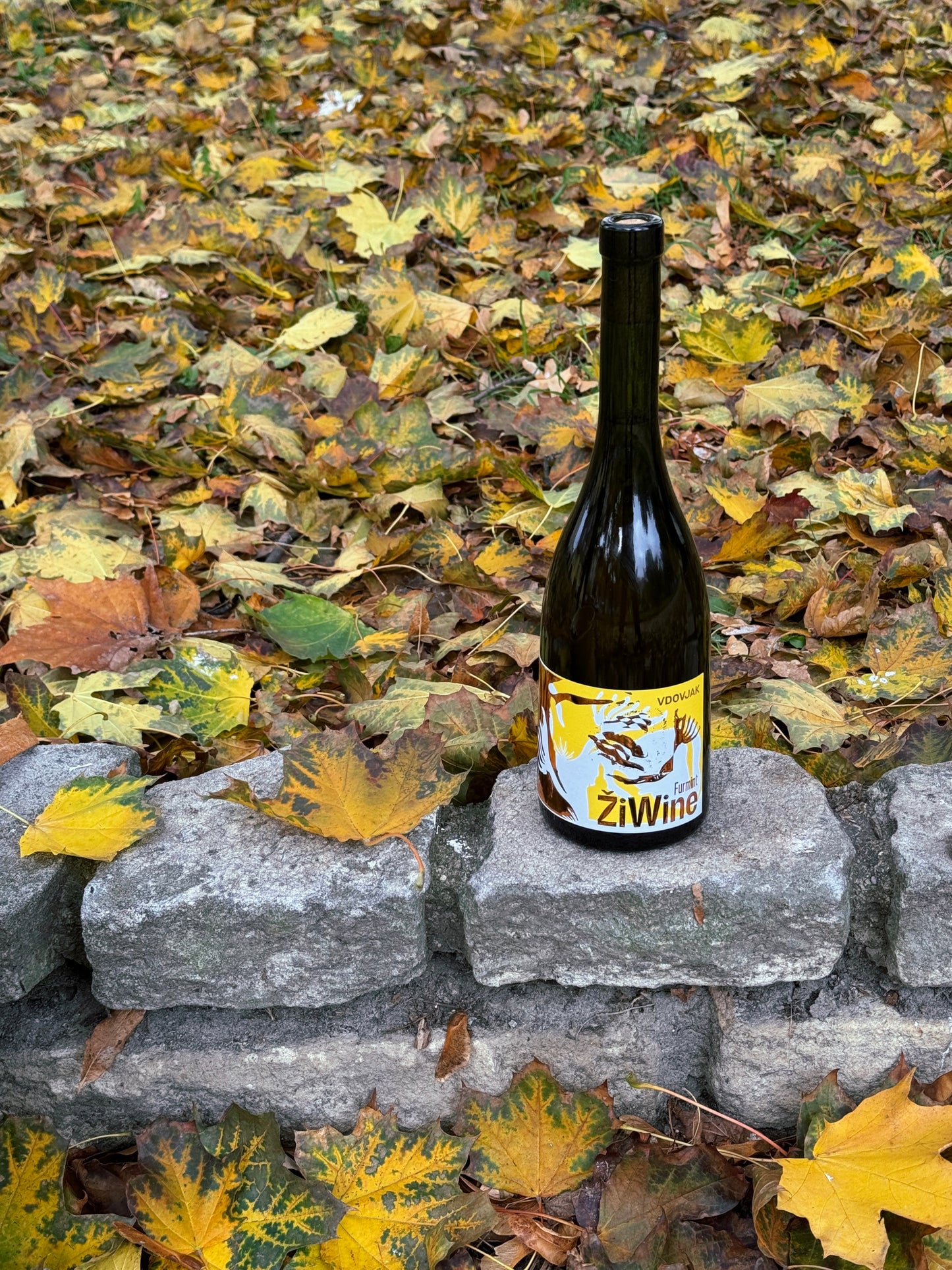Vino Vdovjak: Furmint ŽiWine 2023