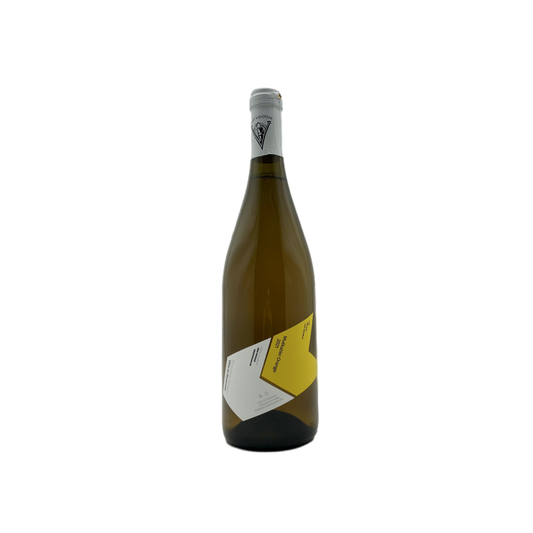 Vino Vdovjak: Muskatier Orange 2022